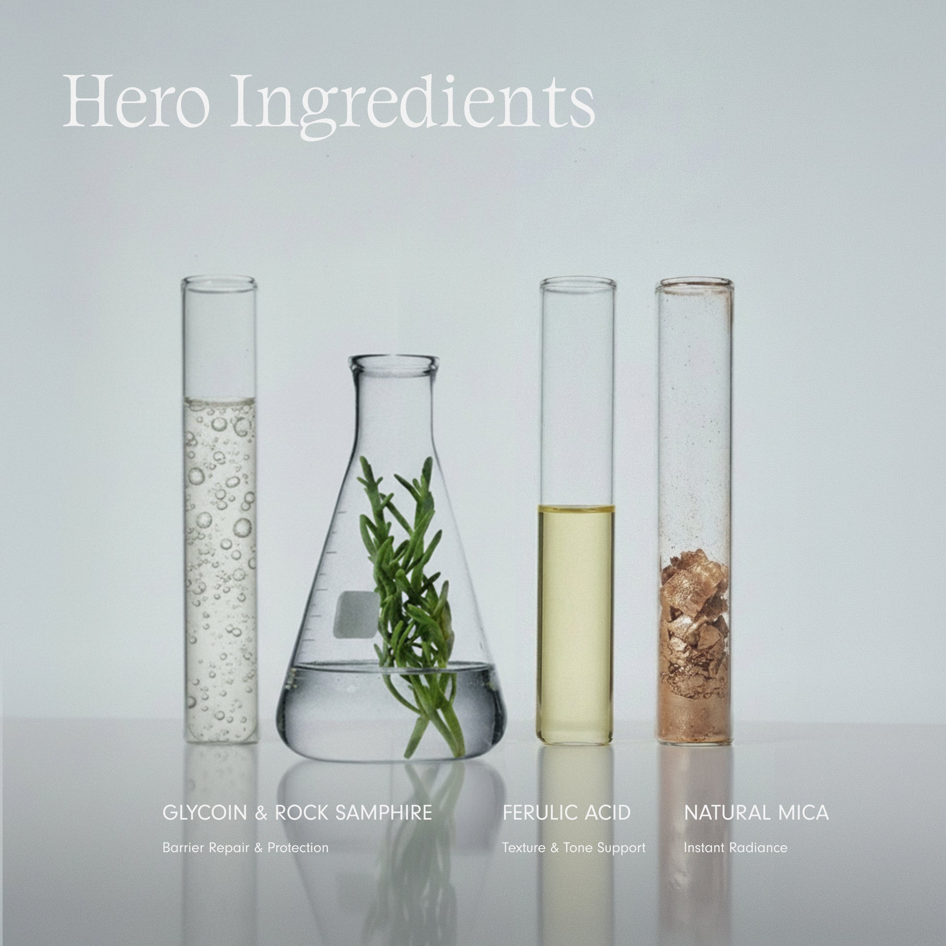 Fatigue Fix hero ingredients including Glycoin, Ferulic Acid and natural Mica