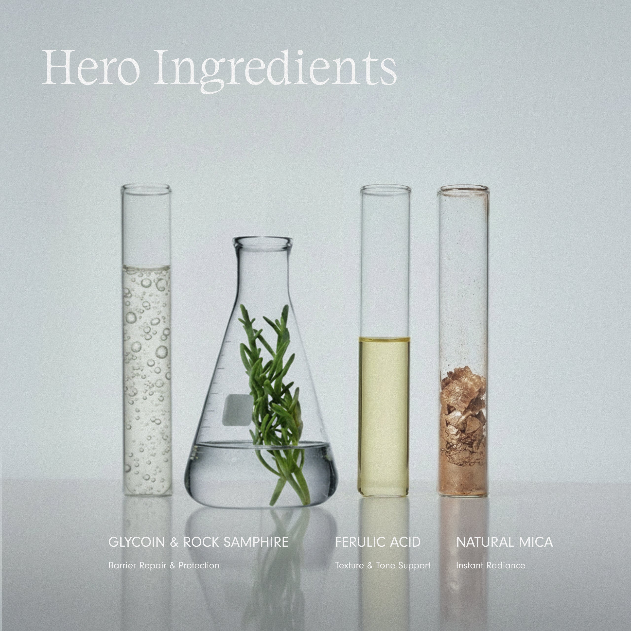 Fatigue Fix hero ingredients including Glycoin, Ferulic Acid and natural Mica
