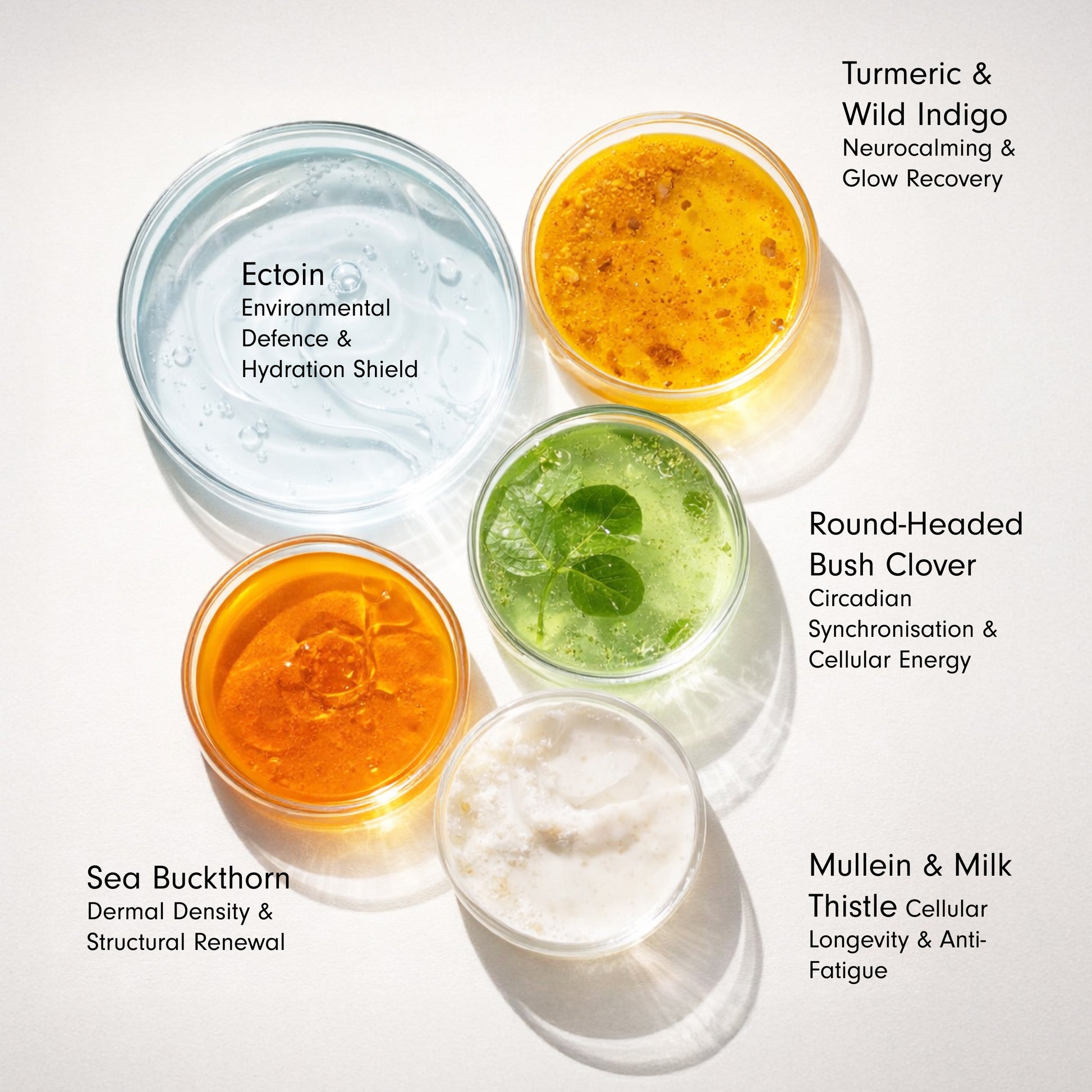 First Fix - Healthy Skin Hero key ingredients: Ectoin, Milk Thistle and Turmeric