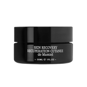 Skin Recovery Concentrate